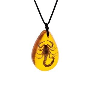 Amber Pendant Necklace - Large Water Drop Fossilized Scorpion Necklace